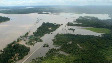 国道が水没し一時通行不能になったポルト・ベーリョ近郊（2月25日撮影、Foto: Marcos Freire/Decom）