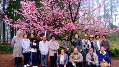 敬宮愛子内親王の誕生を祝って植樹した記念桜の下で、ロンドリーナ熊本県人会会員ら