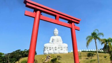 仏教の仏像と神道の鳥居という有る意味ブラジルらしい佇まい（禅光提供写真。撮影＝Vitor Nogueira）