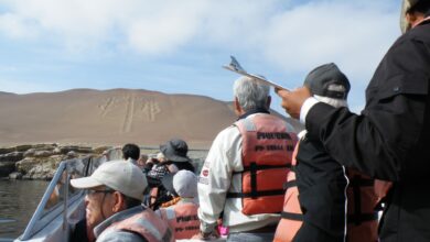 バレスタス島ツアーで見学した地上絵のレプリカ