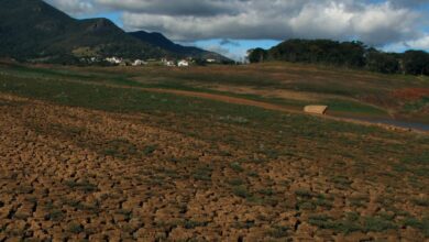 水位低下が続き地面もひび割れたジャグアリー貯水池（Fernanda Carvalho/Fotos Públicas）