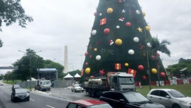 イビラプエラ公園前の名物クリスマスツリー（Paulo Pinto/Fotos Públicas）