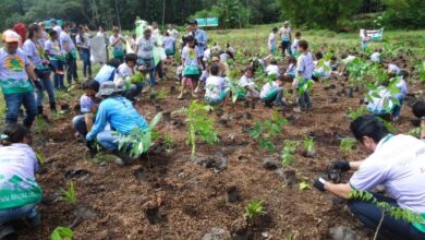 小学生65人による八木農場植樹風景