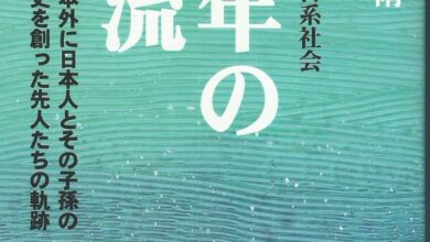 『百年の水流』の表紙