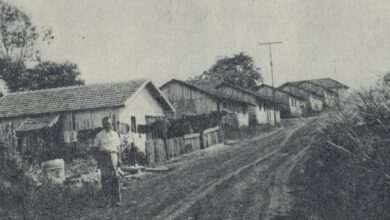 上野家が住んだバルボーザ耕地のコロノ長屋（『上野米蔵伝』より）