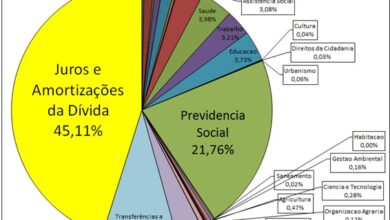 ２０１４年の政府支出。左側の黄色い部分４５・１１％「juros e amortizações da dívida pública」を直訳すると「債務の利息および償却費」だが、要するに「国債の利息」を意味すると掲載元サイト（www.auditoriacidada.org.br）にある