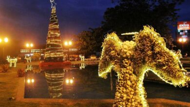 クリスマスツリーと天使の夜景（Luigi do Valle/Prefeitura de Araruama）