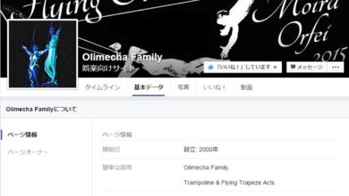 現在もサーカスに出演するオリメシャ一族のフェイスブックの経歴ページ（https://www.facebook.com/Olimecha.Family/info/?tab=page_info）