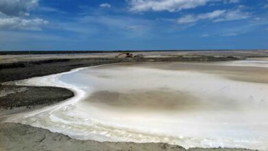 強烈な太陽光だけで水分が蒸発し固形になっている塩田