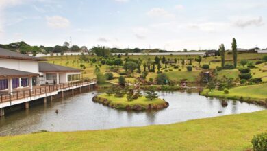 広大な敷地を持つ立派な日本公園