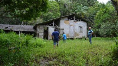 桂植民地の廃屋　中村家（福澤一興氏提供）