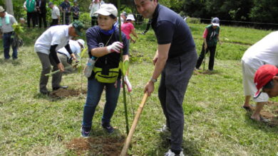 植樹をする野口総領事