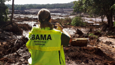 現地を視察した国立再生可能天然資源・環境院（ＩＢＡＭＡ）のスタッフ（IBAMA）