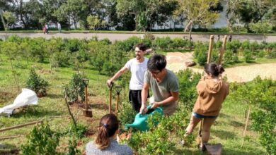 グァラピランガ（サンパウロ市）にマナカの苗木を植える第２４回環境法会議の参加者たち