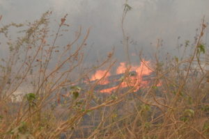 ９月１６日の火事現場