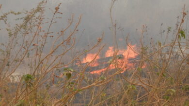 ９月１６日の火事現場