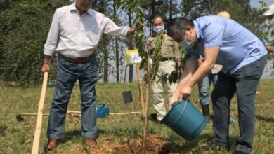 植樹する石川会長