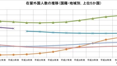 法務省が昨年の１０月公開した公表資料内に掲載されている６月末までの在留外国人推移表