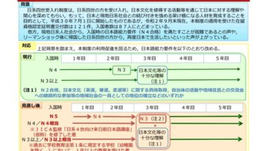 要件見直し図（ｅ―ＧＯＶポータルサイトより）